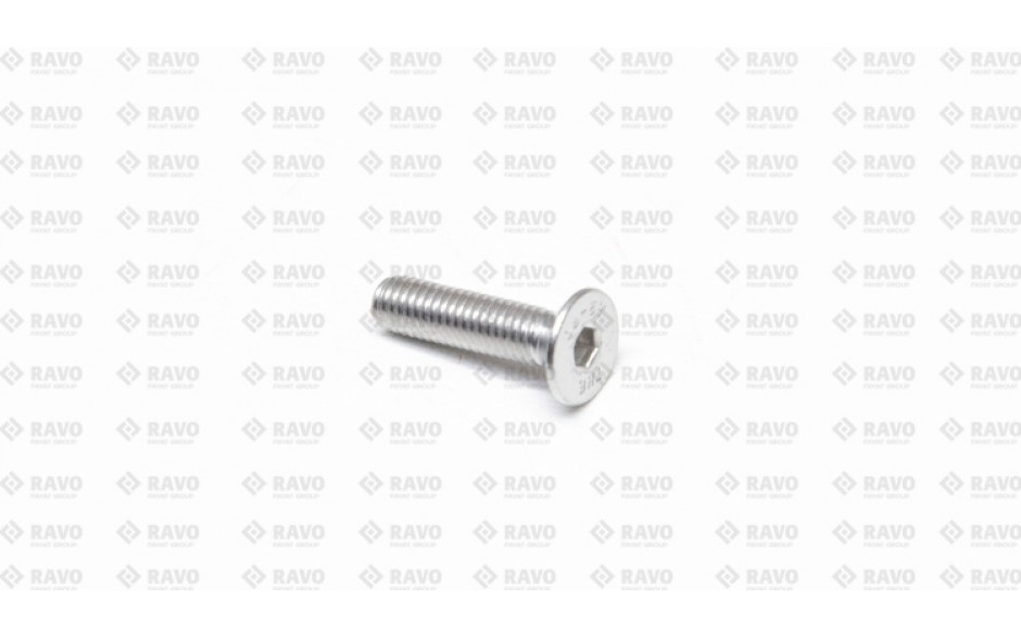 PK BOLT M5X20  SS